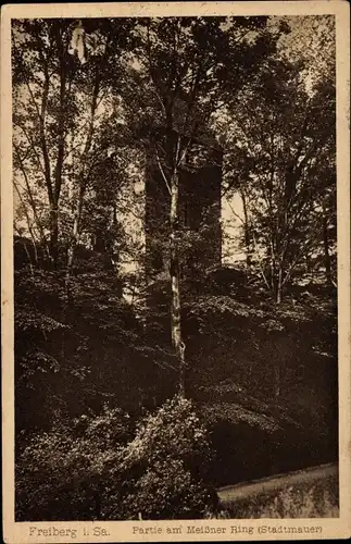 Ak Freiberg in Sachsen, Partie am Meißner Ring, Stadtmauer