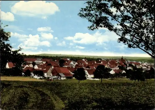 Ak Dörlesberg Wertheim am Main, Gesamtansicht