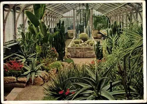 Ak Cannstatt Stuttgart Neckar, Wilhelma, Kakteenhaus