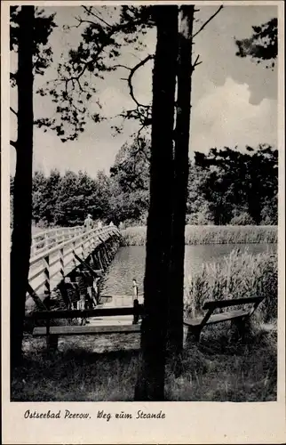 Ak Ostseebad Prerow auf dem Darß, Weg zum Strand