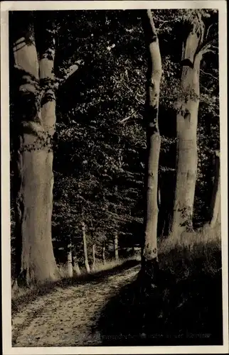 Ak Ostseebad Timmendorfer Strand, In der Kammer