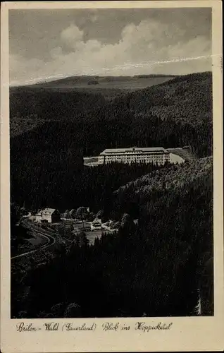 Ak Brilon im Sauerland, Blick ins Hoppecketal