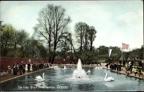 Ak Torquay Devon England, The Lake King's Drive Gardens
