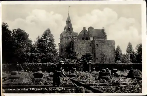 Ak Nieuw Loosdrecht Nordholland Niederlande, Kasteel De Sijpesteijn, Sypesteyn, Rozentuin