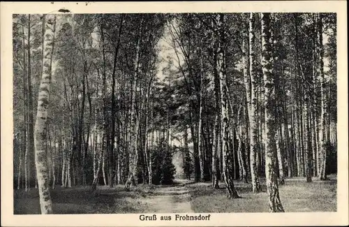 Ak Frohnsdorf Treuenbrietzen in Brandenburg, Birkenwald
