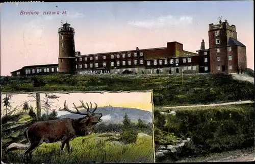 Ak Brocken Nationalpark Harz, am Gipfel, Aussichtsturm, Hotel, Gesamtansicht, Hirsch