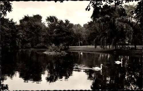 Ak Datteln im Ruhrgebiet Westfalen, Stadtpark