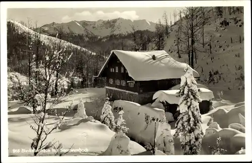 Ak Schliersee in Oberbayern, Blecksteinhaus, Sonnwendjoch