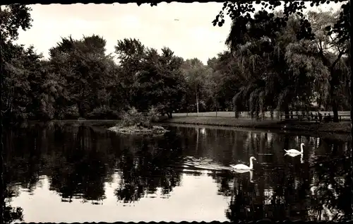 Ak Datteln im Ruhrgebiet Westfalen, Stadtpark