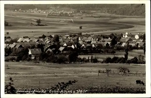 Foto Ak Oedelsheim Oberweser Hessen, Gesamtansicht