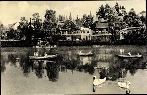 Ak Much in Nordrhein Westfalen, Gasthaus Herrenteich, Schwäne