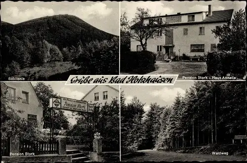 Ak Bad Holzhausen Preußisch Oldendorf in Westfalen, Babilonie, Pension Stork Haus Annelie, Waldweg