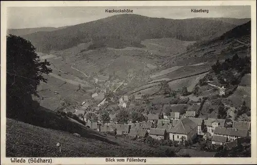 Ak Wieda Walkenried Harz, Blick vom Füllenberg, Kuckuckshöhe, Käseberg