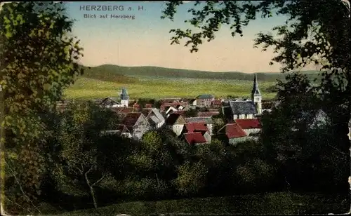 Ak Herzberg am Harz, Blick auf den Ort