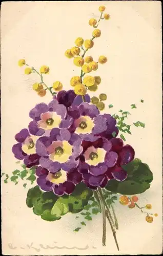 Künstler Ak Klein, Catharina, Blumen, Primeln