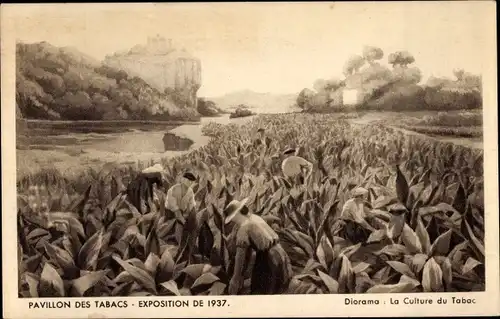Ak Paris, Exposition de 1937, Pavillon des Tabacs, Diorama, la Culture du Tabac