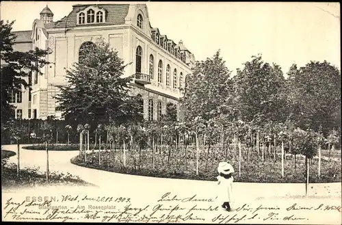 Ak Essen im Ruhrgebiet, Stadtgarten, Am Rosenplatz