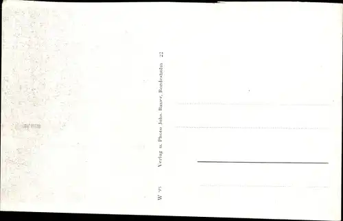 Ak Neumünster in Holstein, Partie am Teich