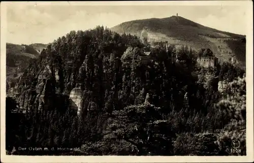 Ak Oybin in der Oberlausitz, Berg mit den Ruinen und der Bergwirtschaft, Hochwald