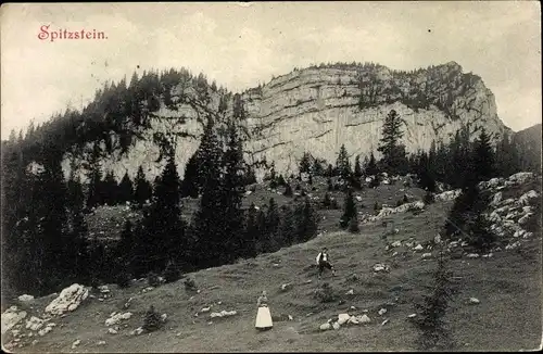 Ak Tirol Österreich, Spitzenstein, Panorama