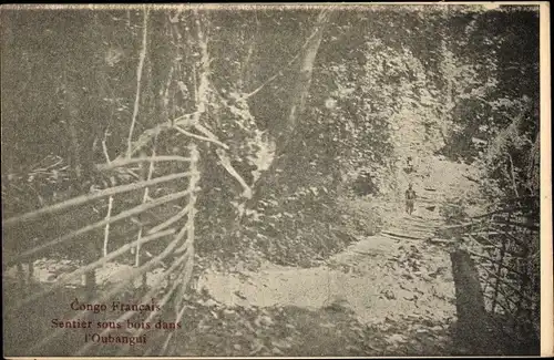 Ak Congo Francais, Französisch Kongo, Sentier sous bois dans l'Oubangui