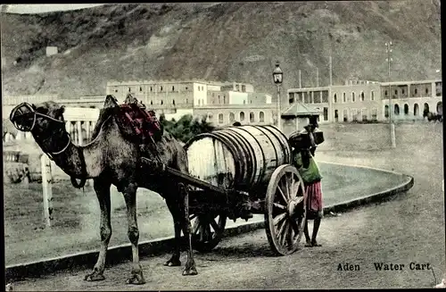 Ak Aden Jemen, Water Cart, Kamel