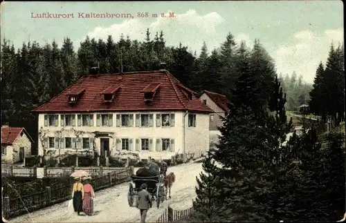 Ak Kaltenbronn Gernsbach im Murgtal Schwarzwald, Straßenpartie