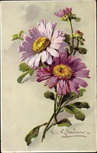 Künstler Ak Klein, Catharina, Blumen, lila Blüten