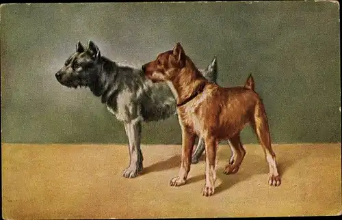 Ak Zwei Hunde, Tierportrait, Hundeportrait