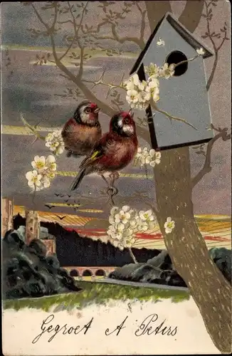 Präge Ak Zwei Vögel an einem Vogelhaus