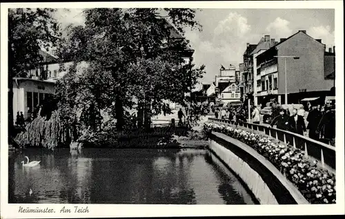 Ak Neumünster in Holstein, Partie am Teich