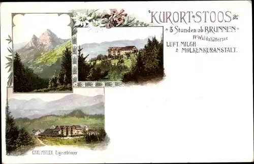 Ak Stoos Morschach Kanton Schwyz, Molkenkuranstalt, Gesamtansicht, Berge