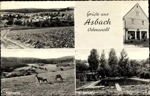 Ak Asbach Modautal, Gesamtansicht, Schwimmbad, Waldpartie