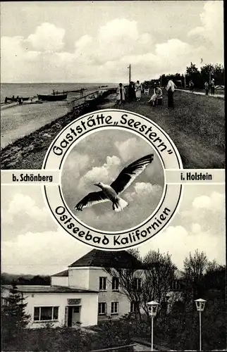 Ak Schönberg in Holstein, Ostseebad Kalifornien, Deich, Möwe, Gaststätte Seestern, Strand