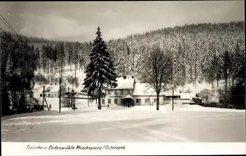 Ak Hirschsprung Altenberg Osterzgebirge, Ferienheim Ladenmühle im Winter