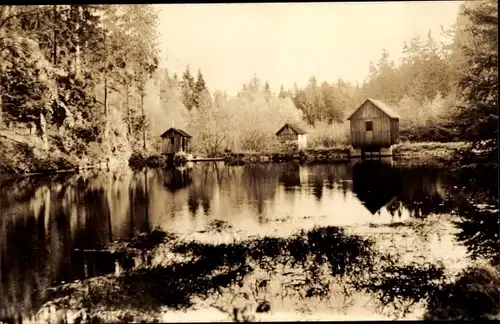 Ak Olbernhau im Erzgebirge, Pulvermühlenteich