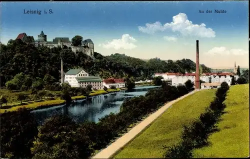 Ak Leisnig in Sachsen, Panorama, Mulde