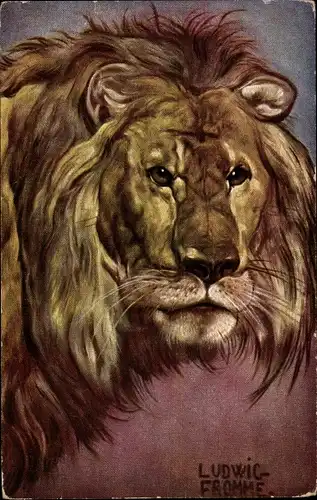 Künstler Ak Fromme, Ludwig, Löwe, Portrait eines männlichen Löwen