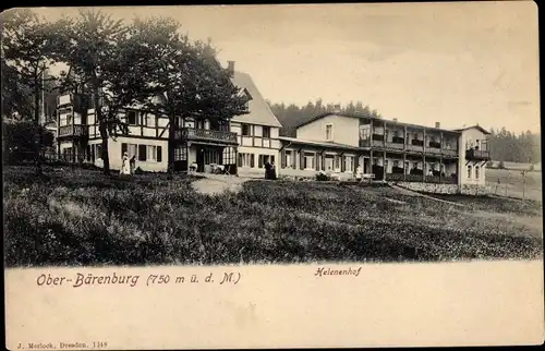 Ak Ober Bärenburg Altenberg im Erzgebirge, Helenenhof
