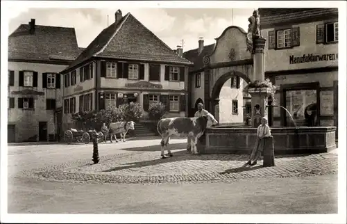 Ak Ettenheim in Baden, unteres Tor, Mariabrunnen, Kühe, Gasthaus, Manufakturwarengeschäft