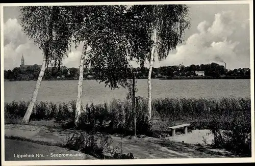 Ak Lippehne Lipiany Ostbrandenburg, Seepromenade