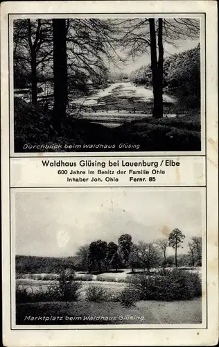 Ak Lauenburg an der Elbe, Waldhaus Glüsing
