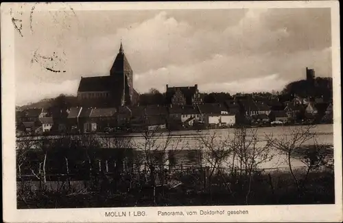 Ak Mölln im Herzogtum Lauenburg, Panorama vom Doktorhof gesehen