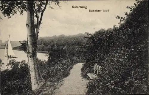 Ak Ratzeburg im Herzogtum Lauenburg, Römnitzer Wald