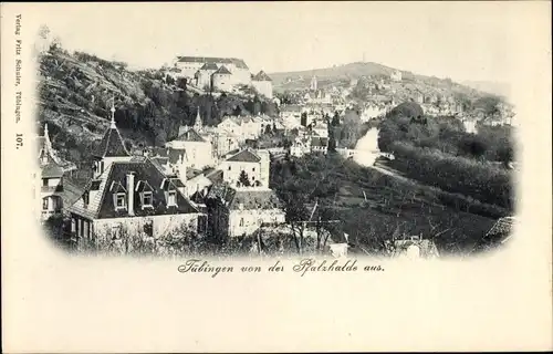 Ak Tübingen am Neckar, Panorama von der Pfalzhalde aus