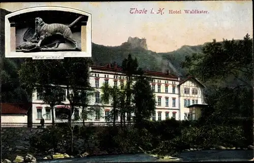 Ak Thale im Harz, Hotel Waldkater, Relief