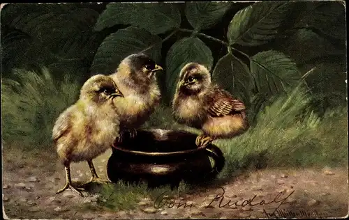 Künstler Ak Müller, August, Drei Küken, Tonkrug