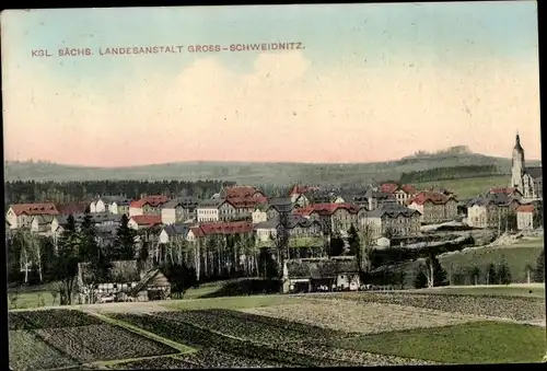 Ak Großschweidnitz in Sachsen, Sächsische Landesanstalt