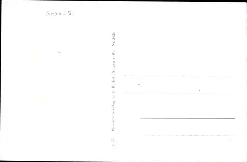 Ak Siegen in Westfalen, Totale
