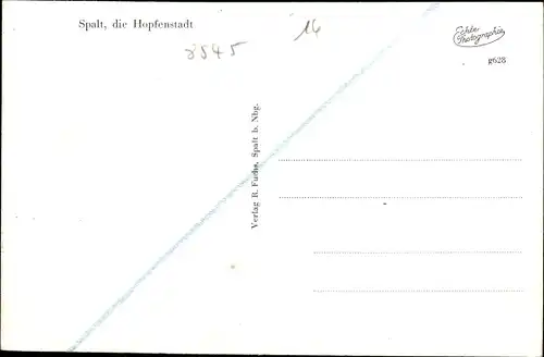 Ak Spalt Mittelfranken, Panorama mit Hopfenwald